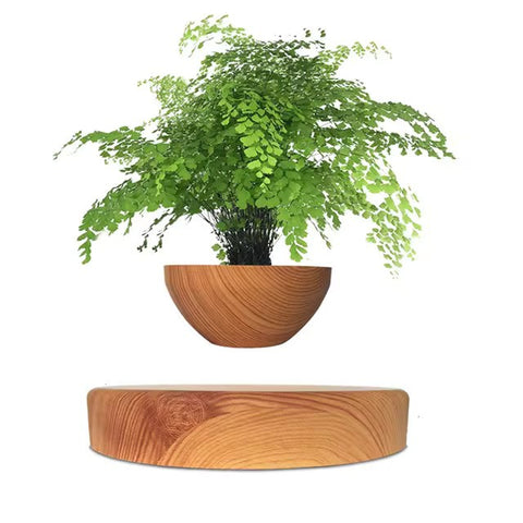 Elevating Plant Pot Dose Living