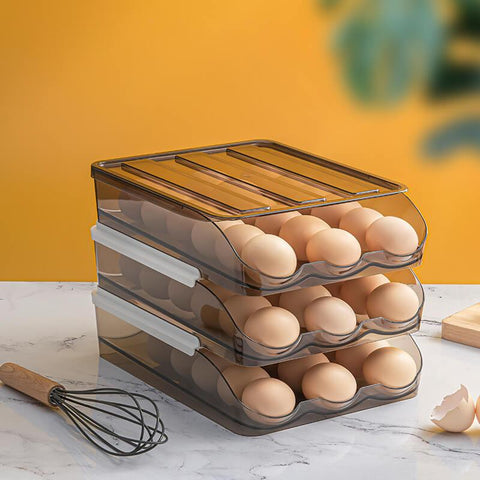 Egg Storage Box Dose Living