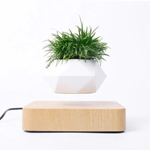 Elevating Plant Pot Dose Living