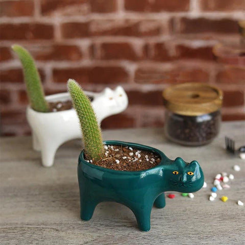 Cute Cat Garden Flower Pot Dose Living